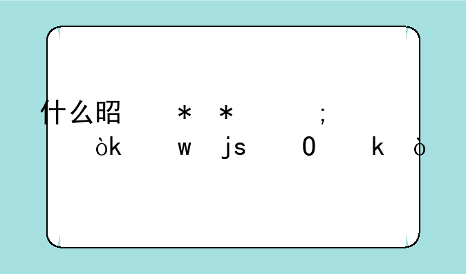 什么是劳动与社会保障专业？