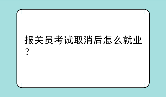 报关员考试取消后怎么就业？