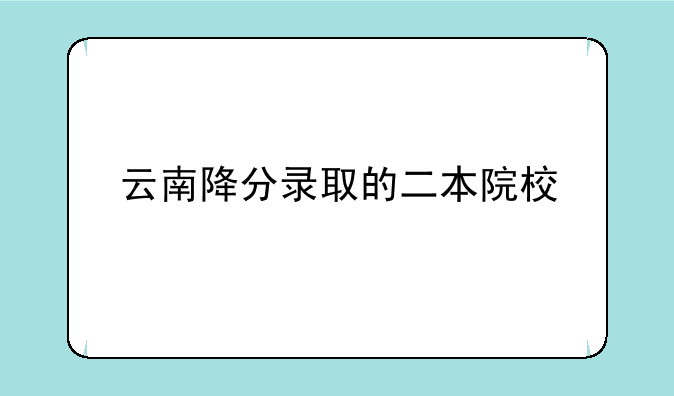 云南降分录取的二本院校