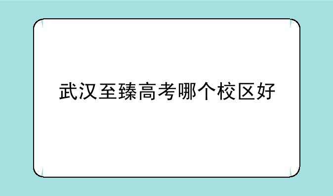 武汉的至臻高考怎么样。--武汉至臻高