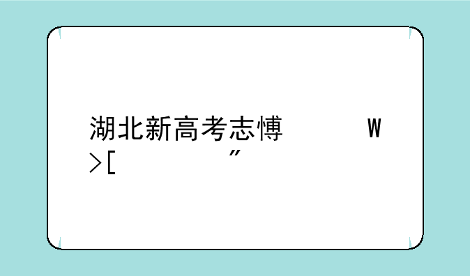 湖北新高考志愿录取规则