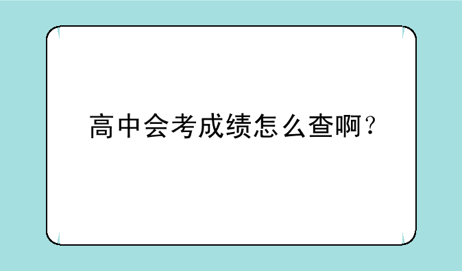 高中会考成绩怎么查啊？
