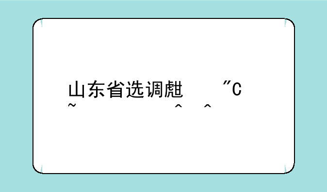 山东省选调生成绩查询时间