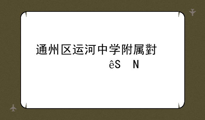 通州区运河中学附属小学对应哪所初