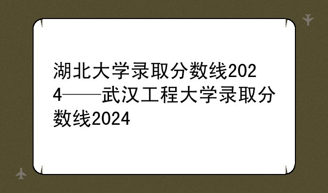 湖北大学录取分数线2024——武汉工程大学录取分数线2024